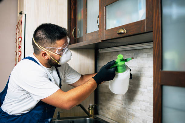 Professional Pest Control in Fairhope, AL