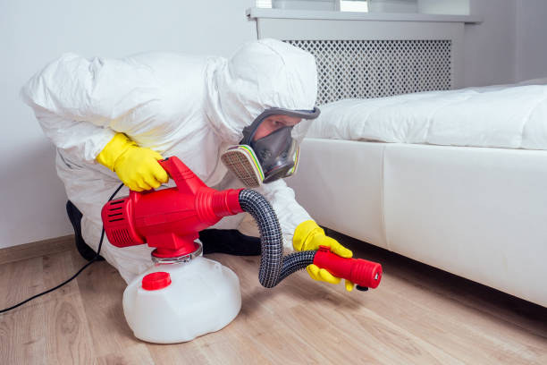 Best Affordable Pest Control Services  in Fairhope, AL