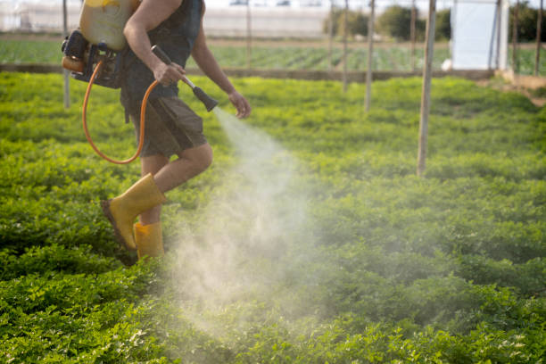 Best Pest Prevention Services  in Fairhope, AL