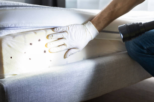 Best Commercial Pest Control Services  in Fairhope, AL