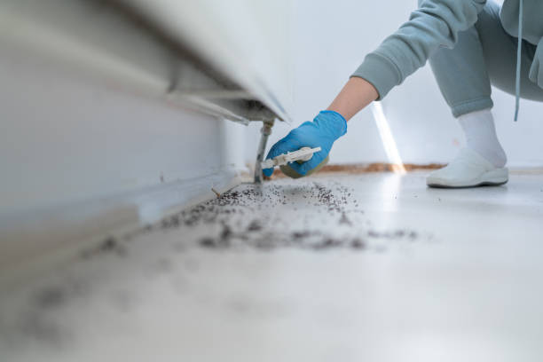 Best Affordable Pest Control Services  in Fairhope, AL